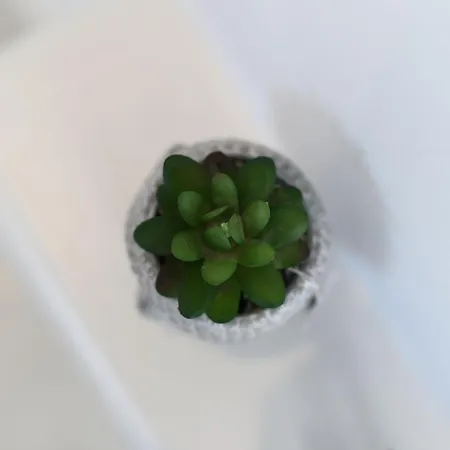 Naxos Kastraki Beauty Flat And