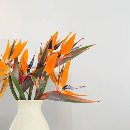 Σπίτι διακοπών Naxos Kastraki Beauty Flat And Kastrákion